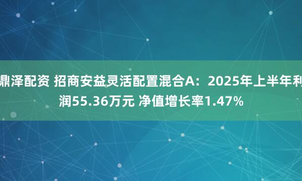 鼎泽配资 招商安益灵活配置混合A：2025年上半年利润55.36万元 净值增长率1.47%