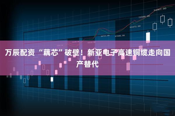 万辰配资 “藕芯”破壁！新亚电子高速铜缆走向国产替代