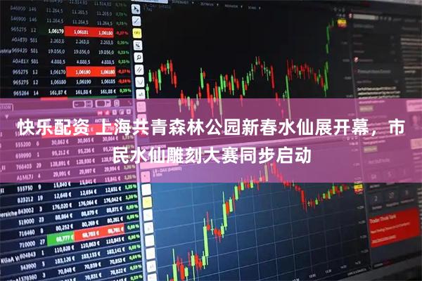 快乐配资 上海共青森林公园新春水仙展开幕，市民水仙雕刻大赛同步启动
