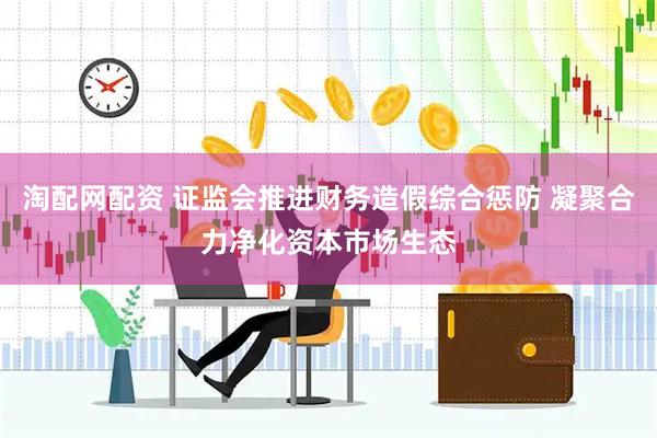 淘配网配资 证监会推进财务造假综合惩防 凝聚合力净化资本市场生态